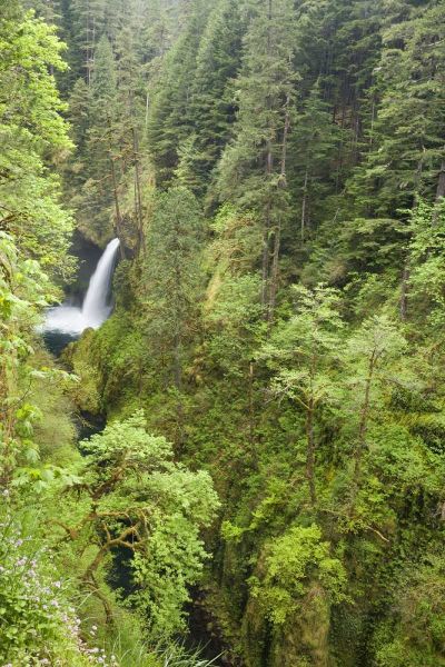 OR, Columbia Gorge Metlako Falls